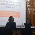 Fredy Forero en Seminario de Derecho de Autor en México