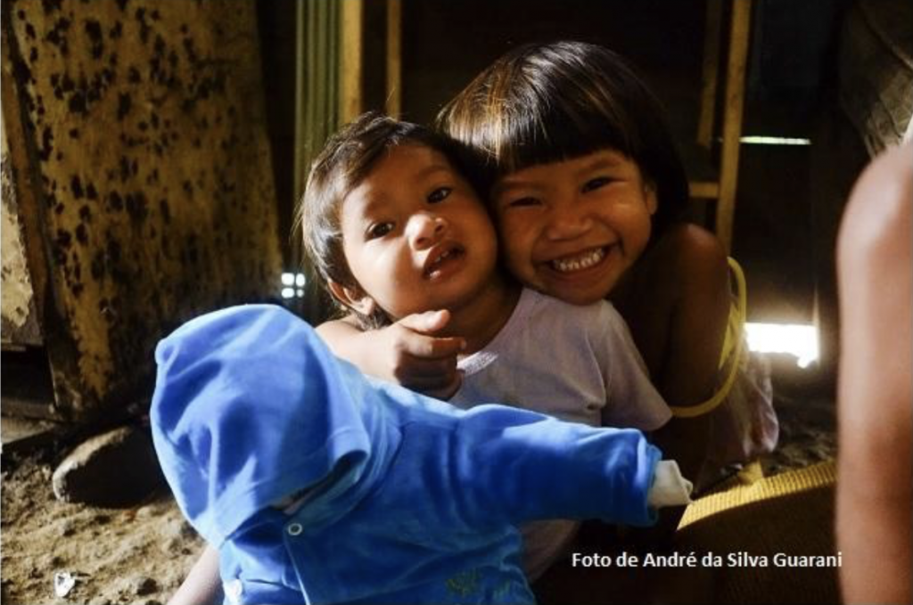 Las Lenguas Indigenas Brasil Y La Unesco En 2019 Cerlalc