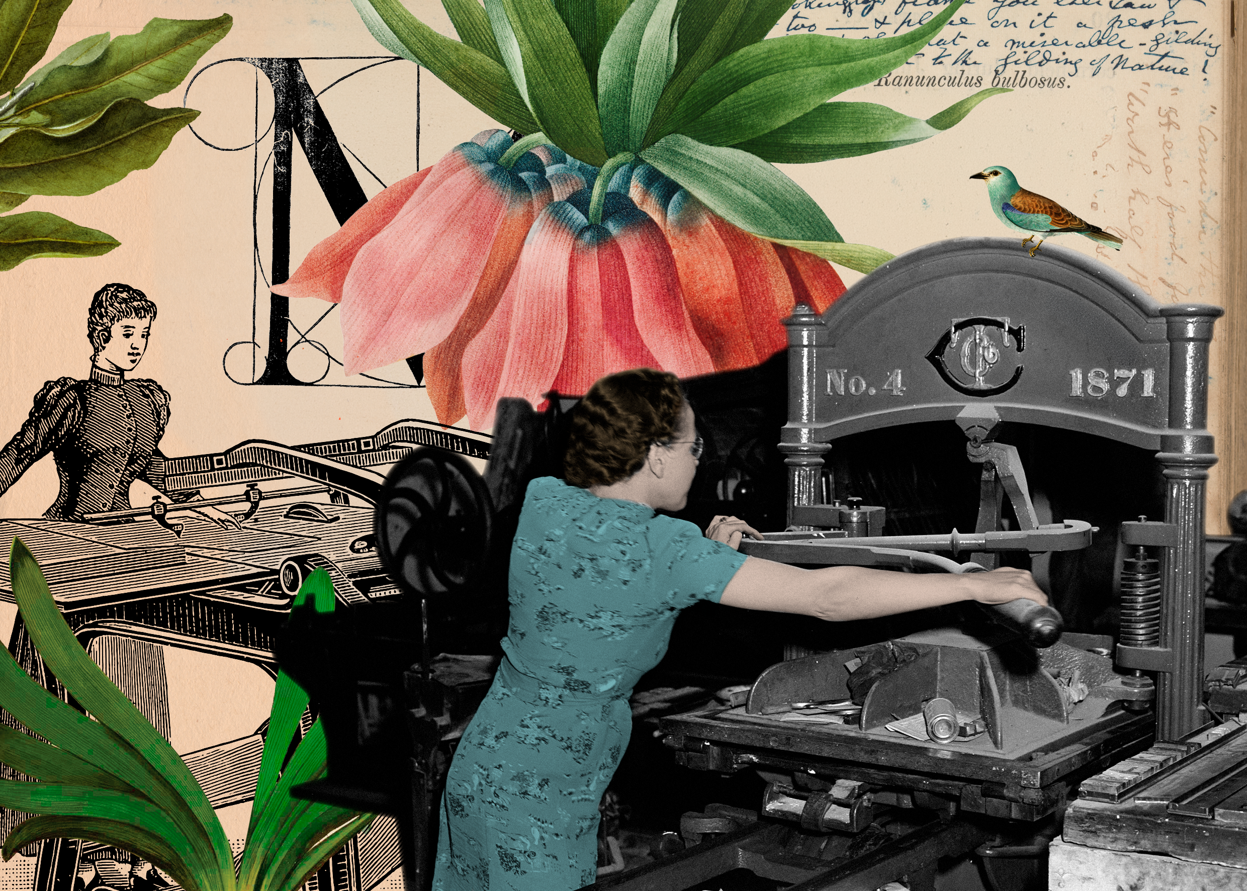 Memoria y práctica viva: mujeres y edición en América Latina, nueva publicación del Cerlalc